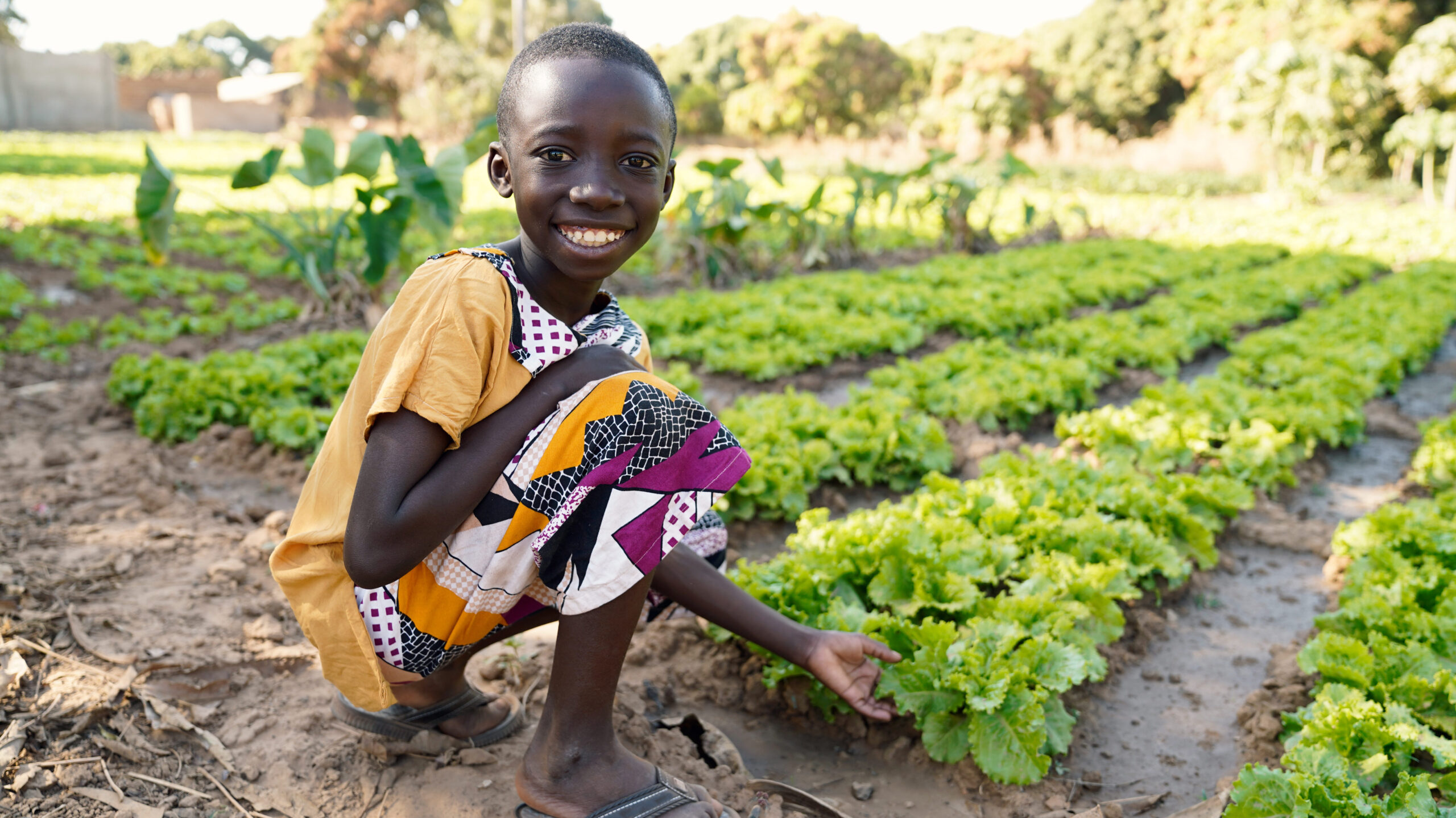 DRC: Ephphata School Agricultural Project